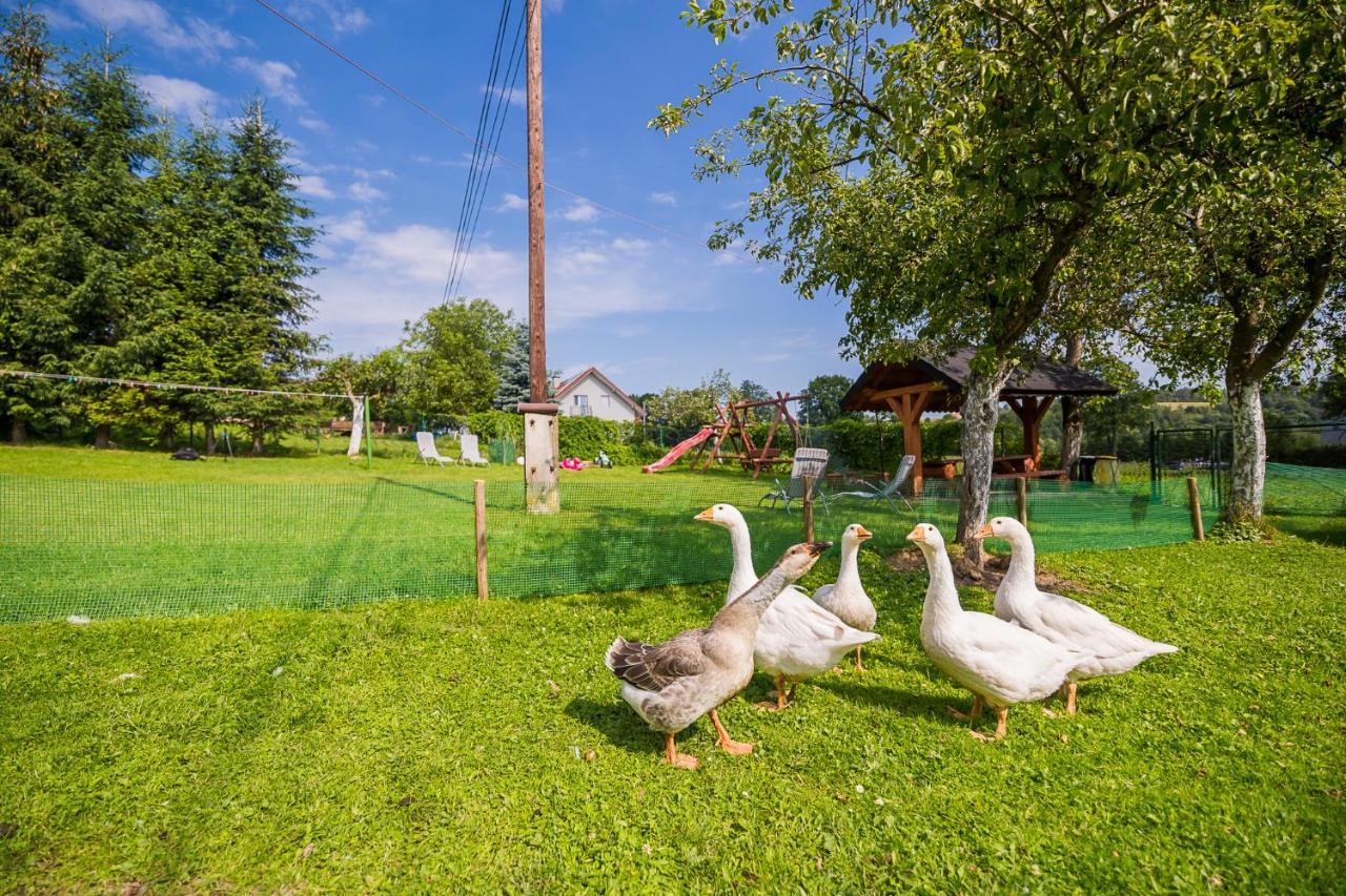 Bieszczadzki Krakowiak 575-894-584 Lub 535-595-732 Villa Polańczyk Dış mekan fotoğraf
